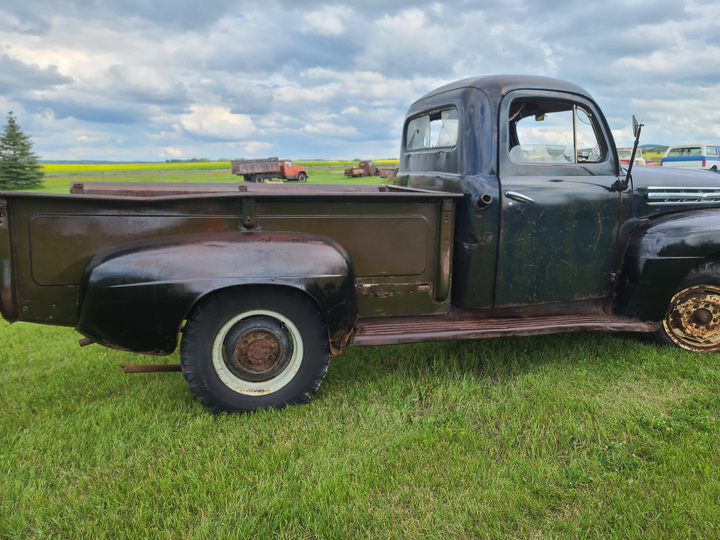 1951 ford f3
